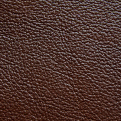 Molasses