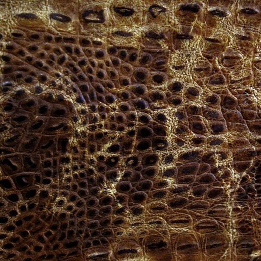 Rustic Croc