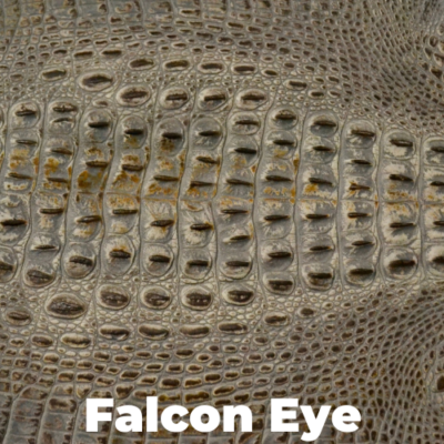 Falcon Eye